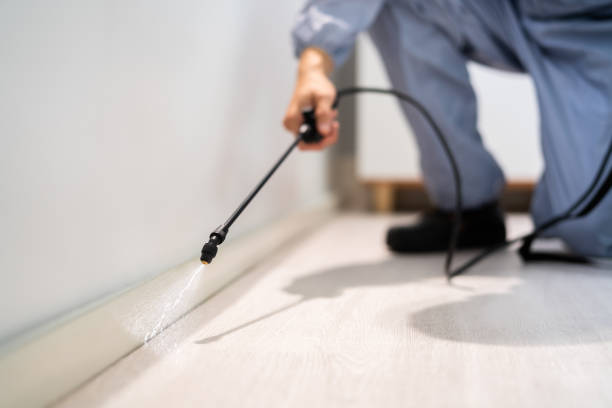 Licensed Pest Control service in Nowthen, MN - Show Me Pest Control