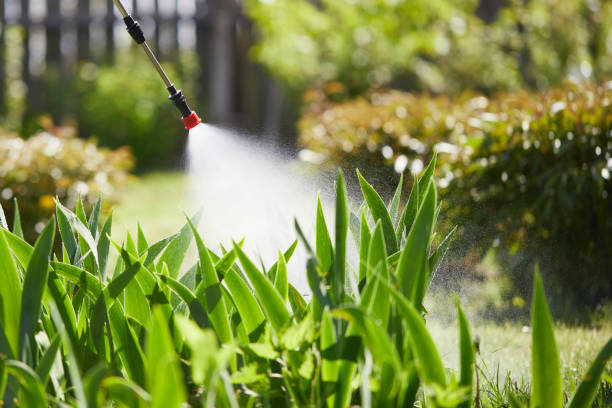 24/7 Emergency Mosquito Control experts in Nowthen, MN