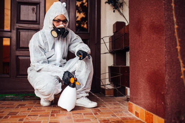 Reliable Mosquito Control contractor in Nowthen, MN by Show Me Pest Control