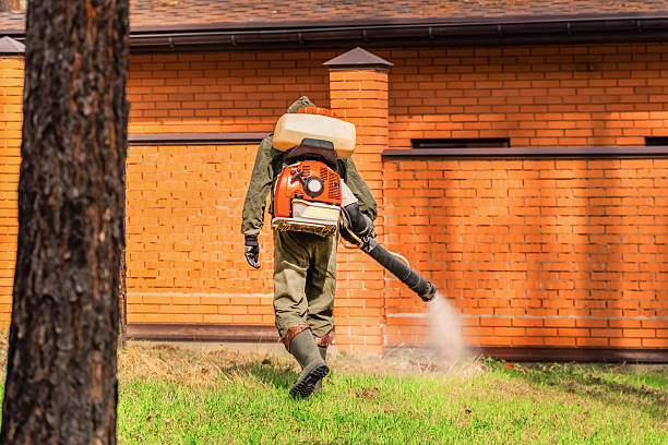 Top rated local Mosquito Control specialists in Nowthen, MN